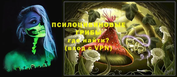 мет Няндома
