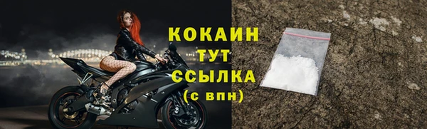 мет Няндома