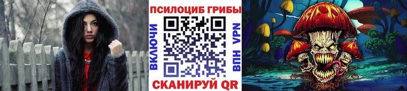 цены Тюмень MEGA зеркало Псилоцибиновые грибы мухоморы
